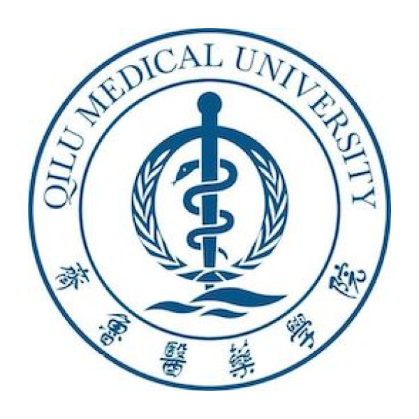 Qilu Medical University