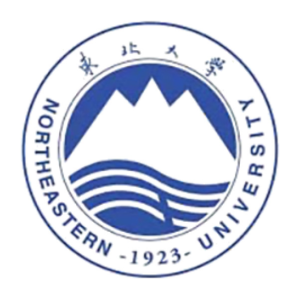 Northeastern University - China