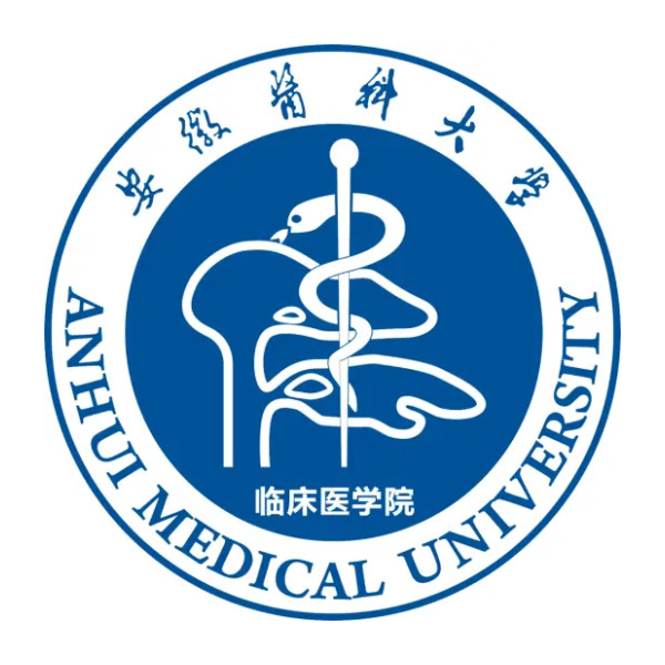Clinical College of Anhui Medical University