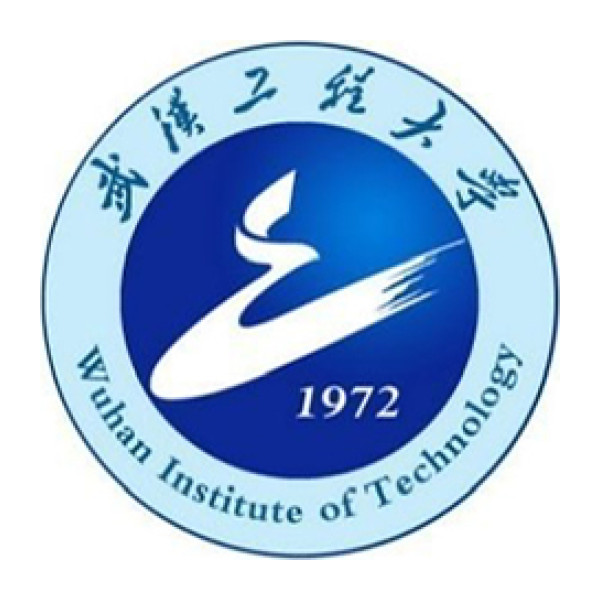 Wuhan Institute of Technology