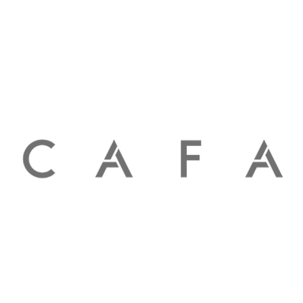 Central Academy of Fine Arts