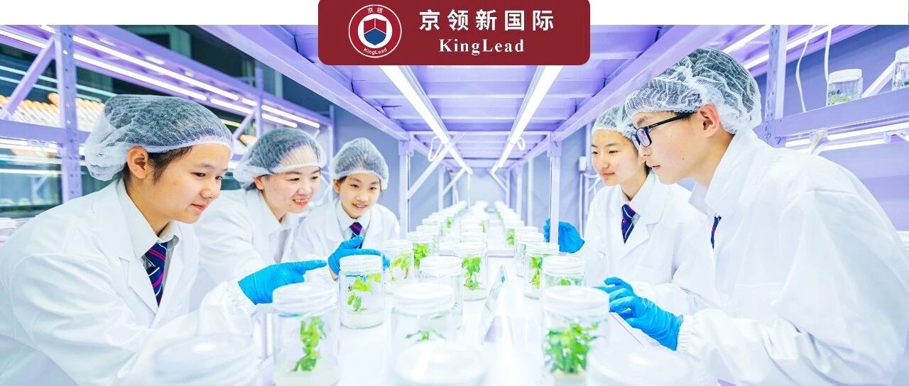 以创新之名，赴世界之约——透视苏州北美的创新竞争力密码